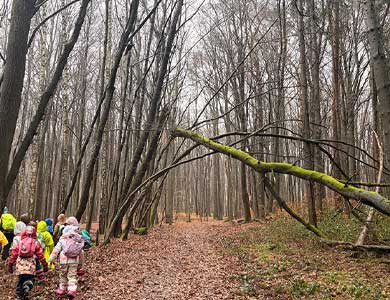 Ausflug der Vorschüler in den Wald